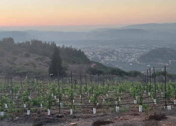 Hararit View נוף הררית