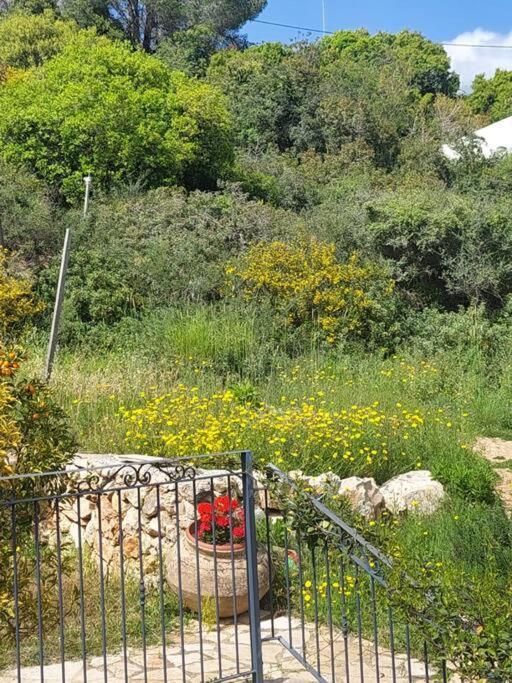 View נוף Hararit