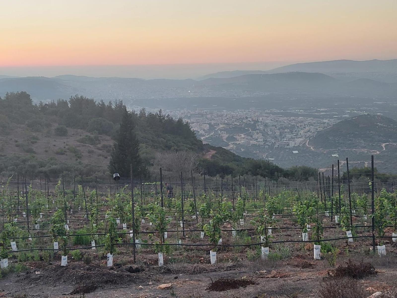 View נוף